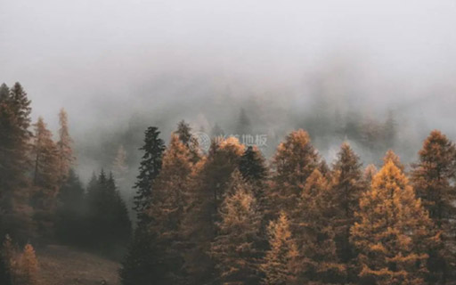 2024必美新品 | 史迪萊克無(wú)暇高尚系列，美出新高度！